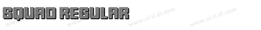 Squad Regular字体转换